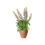 vibia campana 20cm terre cuite